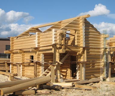 Shell of a handcrafted log bathhouse