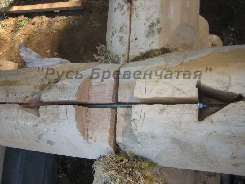 Утепление потолка бани мхом
