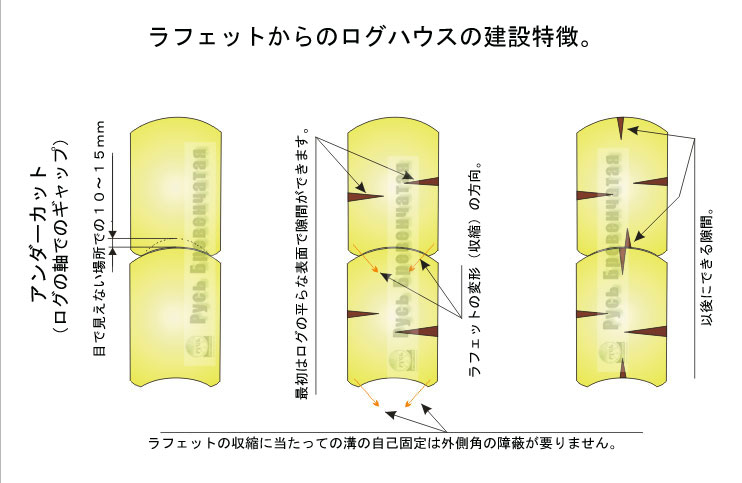 ラフェットの収縮の特徴。